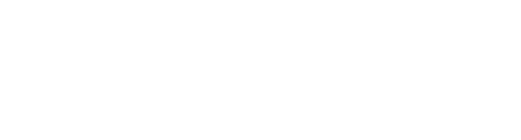 Run Toledo